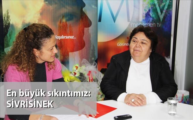 En büyük sıkıntımız:  SİVRİSİNEK