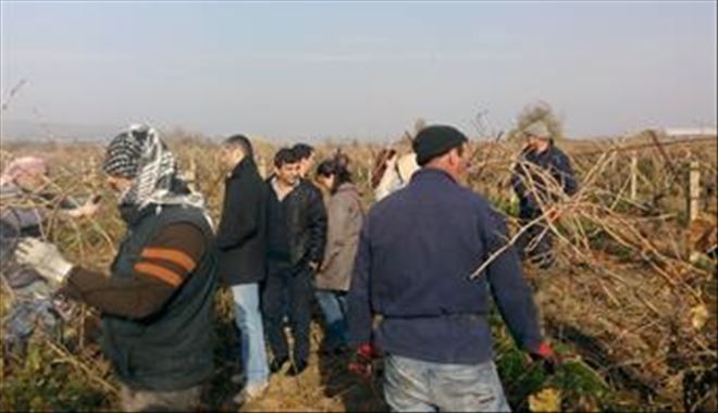 Çiftçi Eğitim Toplantıları   