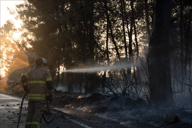 İzmir`de orman yangınları
