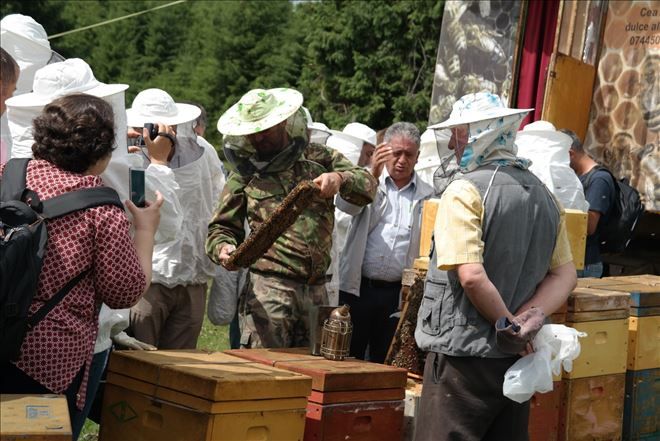 Bal üretiminde dünya ikincisiyiz ama?  