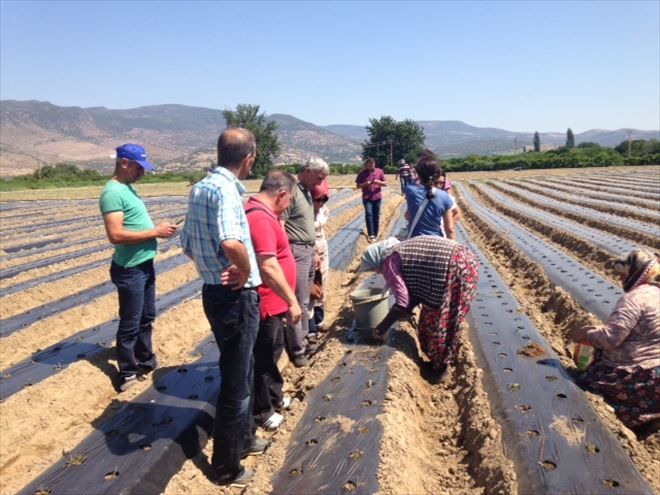 Çilek İçin Selçuk´tan Geldiler