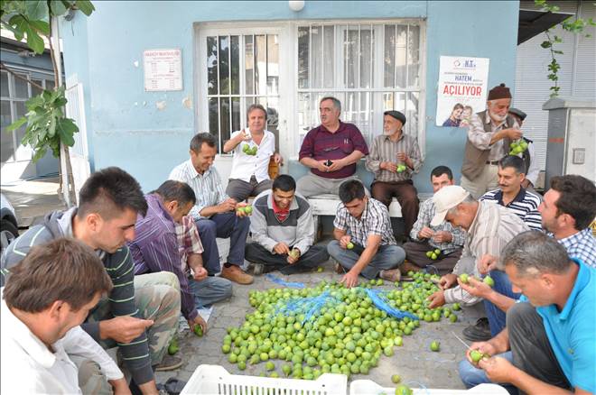 Pazara sinek almaya geliyorlar