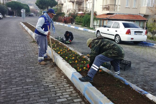 Foça Çiçekleniyor