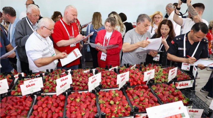 ÇİLEK TADINDA FESTİVAL, MİLYONU AŞKIN MİSAFİR AĞIRLADI