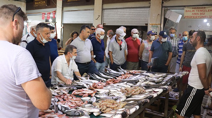 FOÇA BALIK HALİNDE FİYATLAR YARIYA DÜŞTÜ