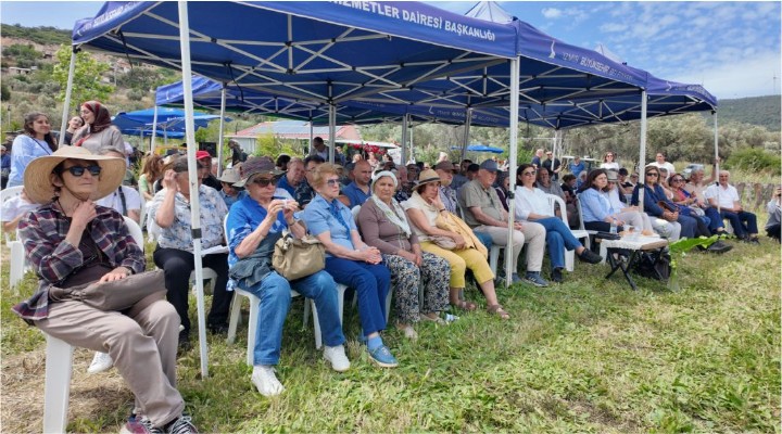 FOÇA'DA ÜRETİCİLERDEN İMECE USULÜ ZEYTİN ŞENLİĞİ