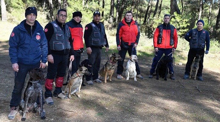 İtfaiyenin yedi köpeği hayat kurtarıyor