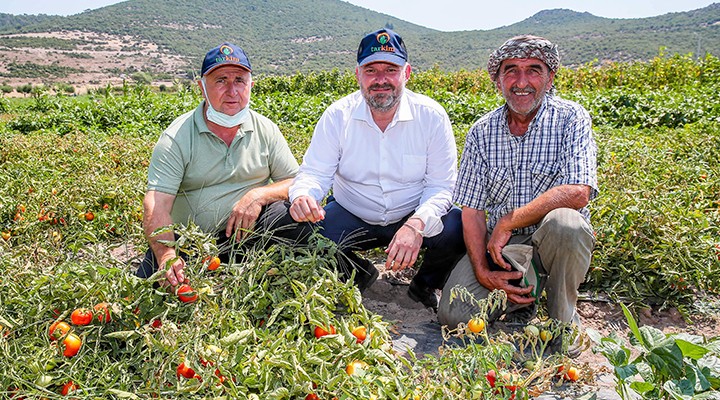 Yerli ve milli sebze çeşitleri Çukurköy’de tanıtıldı