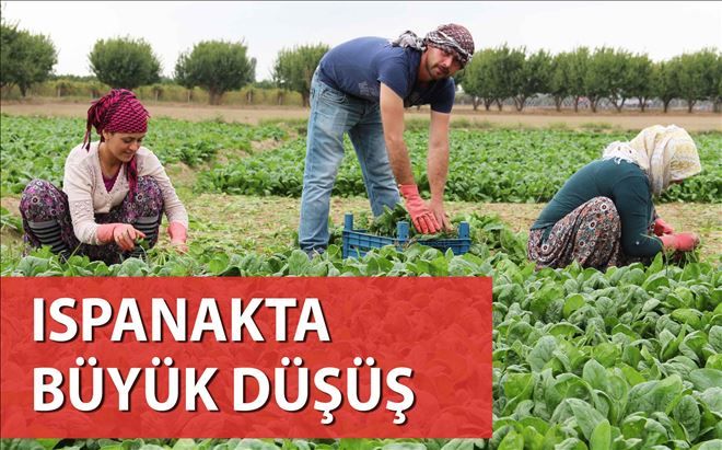 ISPANAKTA BÜYÜK DÜŞÜŞ 