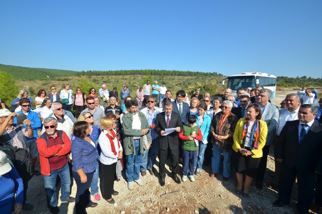 FOÇA ILIPINAR DAKİ AĞAÇ KATLİAMINA DUR DENİLDİ 