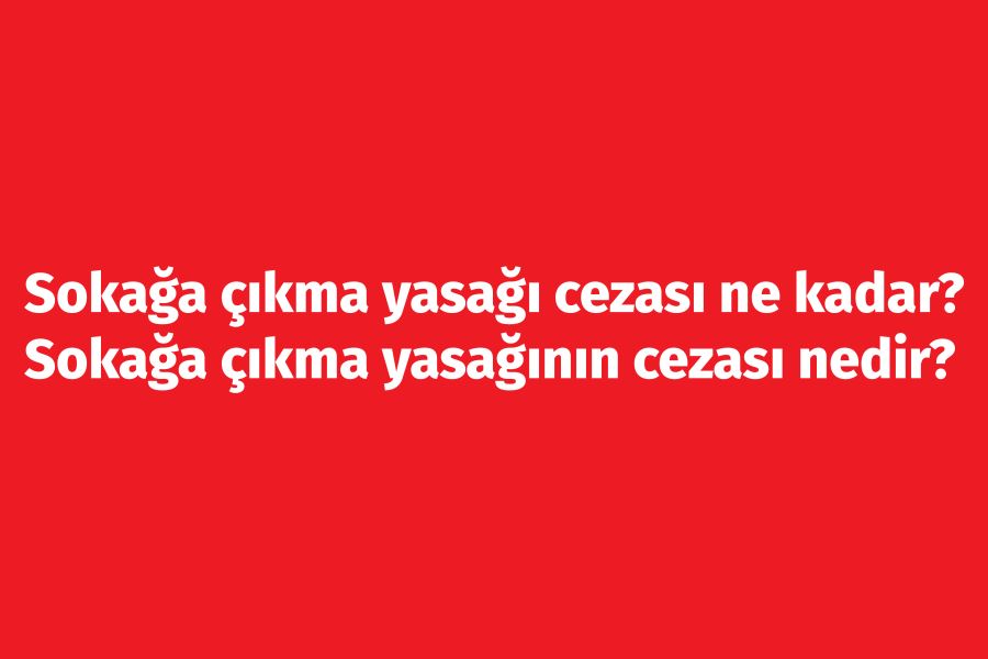 Sokağa çıkma yasağı cezası ne kadar? Sokağa çıkma yasağının cezası nedir?