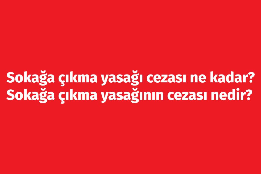 Sokağa çıkma yasağı cezası ne kadar? Sokağa çıkma yasağının cezası nedir?