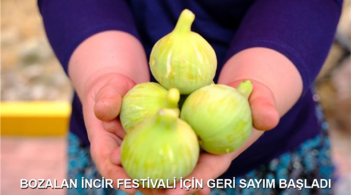 BOZALAN İNCİR FESTİVALİ İÇİN GERİ SAYIM BAŞLADI