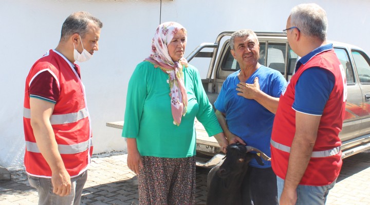 Münevver Teyze Kurbanlık Keçisini Kızılay’a Bağışladı