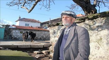  CUMHURİYET ÇINARLARI