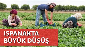 ISPANAKTA BÜYÜK DÜŞÜŞ 