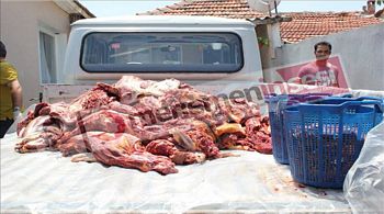 Menemen'de 1,5 ton at eti ele geçirildi