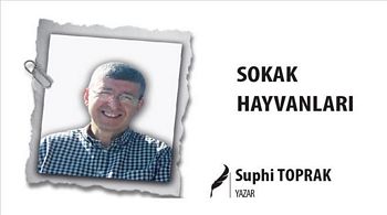 SOKAK HAYVANLARI