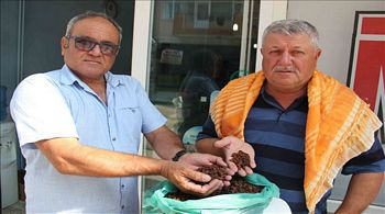 Menemen´in Kuru Üzümde İlk Mahsulü MUSABEY´DEN GELDİ