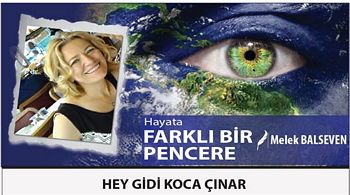 HEY GİDİ KOCA ÇINAR
