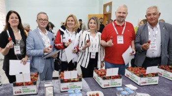 EMİRALEM ÇİLEĞİ, YÜZ BİNLERİ MENEMEN'DE BULUŞTURDU