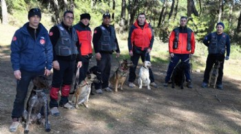 İtfaiyenin yedi köpeği hayat kurtarıyor