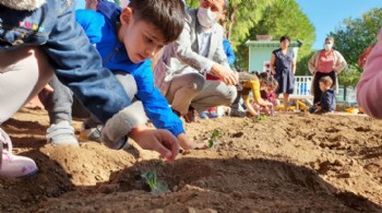 KÜÇÜK BAHÇIVANLAR SEBZE DİKTİ