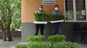 Menemen’de Yerli Tohumlar Toprakla Buluştu