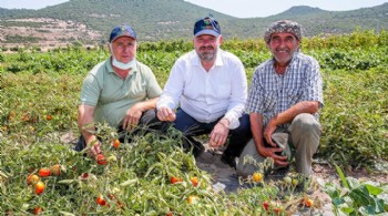 Yerli ve milli sebze çeşitleri Çukurköy’de tanıtıldı